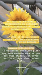 Que o sol banhe o meu corpo, o mar lave minha alma e os ritmos da estação aqueçam meu coração. Jesus Te Escolheu Frases Inspiracionais Frases Evangelicas Frases Religiosa