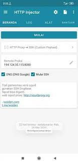 Langkah sepanjutnya adalah membuat confignya untuk caranya silahkan ikuti. Config Gamesmax Telkomsel Versi Squid Woiden