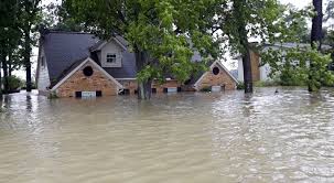 Image result for natural disasters