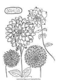 Coloring for girls and boys. A Dahlia Doodle Flower Coloring Pages Flower Drawing Doodle Coloring