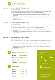 professional cv sample with previous