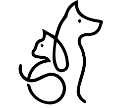 Įmonės critter care animal hospital veiklos vieta: Critter Care Animal Hospital Critter Care Animal Hospital
