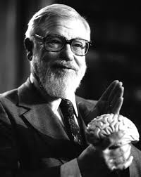 Psychomotor patterning