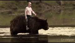 Search, discover and share your favorite putin bear gifs. Best Vladimir Putin Gifs Gfycat