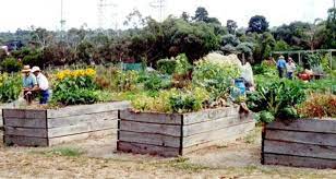 6 steps to starting a community garden in your own neighborhood 1. Yep Your Little Community Garden Will Save The World Organic Authority