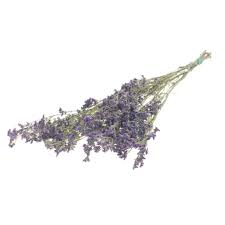 Check spelling or type a new query. Atlas Flowers Dried Limonium Natural Purple Bunch
