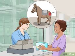 Puedes imprimir una imagen de un burro en una casa usando tu propia impresora, o puedes llevar la imagen a una casa de impresión, o a un centro de impresión de una tienda de. 3 Formas De Jugar Ponle La Cola Al Burro Wikihow