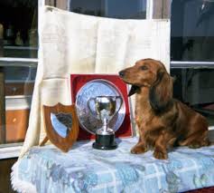They make a devoted and loyal addition to the family. Dachshund History Hampdach Dachshunds
