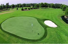 Welcome to synthetic turf and services llc, your local artificial turf installation specialists. About Best Price Artificial Grass Turf Fort Lauderdale Fl Free Quote