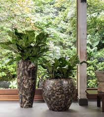 We did not find results for: Brown Plant Pot Bern Brown Indoor Pots Flowerfeldt Flowerfeldt