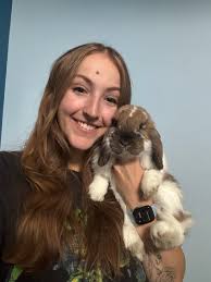 About Our Animal Hospital in Kitchener, ON