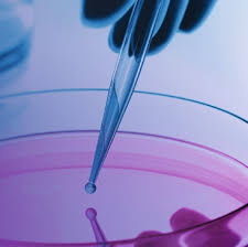 Antonio Russo Marc Peeters Lorena Incorvaia Christian Rolfo Eds.