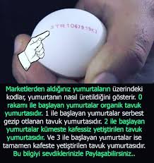 Organik Yumurta Kodlari Bilgi Saglik Bilgi Alintilari