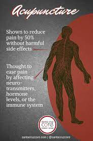 Acupuncture For Pain Relief Santa Cruz Waves