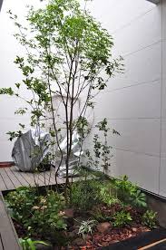 アオダモ 植木を選ぶ4視点 庭木としておすすめな21種類 千葉県 東京都の造園 植栽 庭施工 造園業専門店 新美園 庭 造園 エクステリア