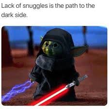 Because with baby yoda cookies, baby yoda cocktails, and baby yoda hot chocolate bombs, i think he's here to stay. Baby Yoda Memes Fandom