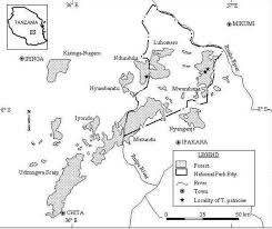 Image result for isolona lebrunii