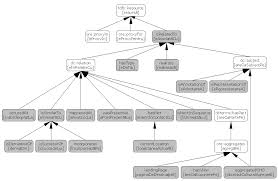 Tratament de akiskal10) sau ca alcoolismul se gaseste foarte frecvent in arborele genealogic al probandului afectiv. Arborele Genealogic Al Familiei In Franceza