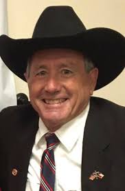 Primary Election 2020: Navarro County election results