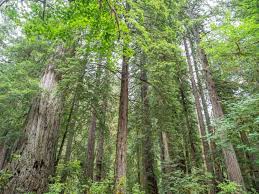Hatfield state recreation area fotos. Complete California State Parks List With Map Travel Tips Californiacrossings Com