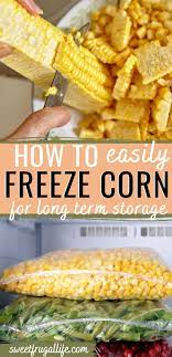 How To Freeze Corn Freezing Fresh Corn Frozen Corn Corn