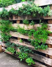 Diy tropical pallet living wall piece rainbow. Vertical Vegetable Garden Ideas