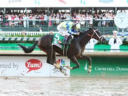 Alumnus Part Of Kentucky Derby Winners Success Story Suny