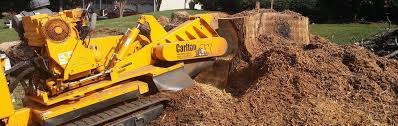 Maybe you would like to learn more about one of these? Stump Grinding And Stump Removal Services