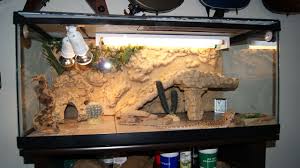 View Topic Finally Building My Own Viv Sort Of 56k Warning Pics Bearded Dragon Tank Bearded Dragon Terrarium Bearded Dragon