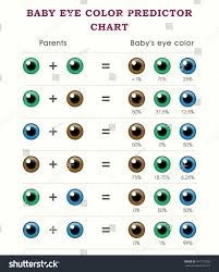 Baby Eye Color Predictor Chart Template Stock Vector