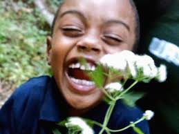 Emma Marris: How Do We Embrace All Kinds Of Nature? : NPR