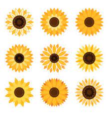 We did not find results for: Simple Sunflower Vector Images Over 3 600