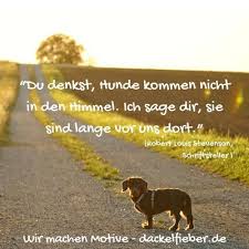 Schone Spruche Und Zitate Zum Thema Dackel Und Rauhaardackel Hund Zitat Hunde Gedichte Dackel