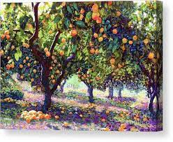 The white paint will reflect the sunlight and thus keep the bark cooler. Orange Grove Of Citrus Fruit Trees Canvas Print Canvas Art By Jane Small In 2021 Tree Painting Tree Art Landscape Art Prints