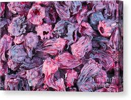 It is not even comparable to any hibiscus tea you find in tea bags at your local. Dried Hibiscus Flowers Canvas Print Canvas Art By Roberto Morgenthaler