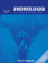 Circumcision during the phallic period: does it affect the psychosexual  functions in adulthood?