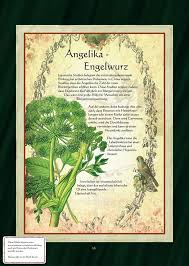 Und Nochmal Alle Zeichnungen Krauter Verzeichnis Facebook Foto S Kruiden Blog