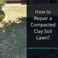 How To Repair A Compacted Clay Soil Lawn Clay Soil Lawn Soil Lawn Repair