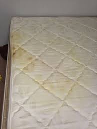 How To Get Urine Stains Out Of A Mattress Pee Stains Mattress Stains Mattress