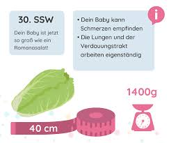 30 Ssw Schwangerschaftswoche