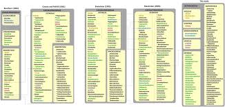 Image result for Englerodendron