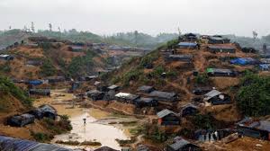 The goods that can be traded are fang , petal. Unhcr Concerned Over Rain Risk Of Rohingyas The Daily Star
