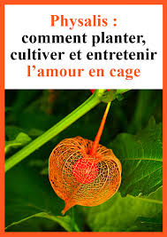 Epingle Sur Astuces Et Conseils