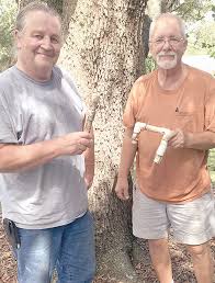 Dogwood Garden Club offers floral classes