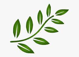 You may also like fall leaf or leaf fall clipart! Transparent Circle Of Leaves Clipart Green Leaves Clipart Png Png Download Kindpng