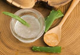 Bahçenizde bu bitkiyi yetiştirmek isteyenler aloe vera bakımı için neler yapmalı? Aloe Vera Cicegi Aloe Vera Cicegi Bakimi Nasil Olur Aloe Vera Nasil Cogaltilir Aloe Vera Faydalari Dis Mekan