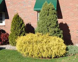If the tree is going to have a 15' spread you should plant it 8.5 feet or more off the foundation of the home. 18 Examples Of Foundation Planting Beds