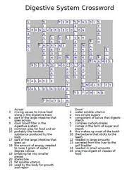 Whether the skill level is as a beginner or something more advanced, they're an ideal way to pass the time when you have nothing else to do like waiting in an airport, sitting in your car or as a means to. Anatomy Biology Crossword Puzzles Set Of 10 By The Teacher Team Tpt