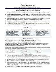 Mba resume writing is not a creative art project with beautiful graphics and fancy fonts. Experienced It Project Manager Resume Monster Com