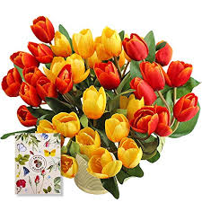 We did not find results for: Tipos De Flores Las 34 Flores Bonitas Mas Comunes Y Faciles De Cultivar